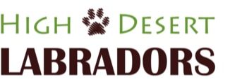 High Desert Labradors - Lab Breeders serving Albuquerque, Amarillo, Dallas